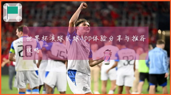 世界杯滚球买球App体验分享与推荐攻略