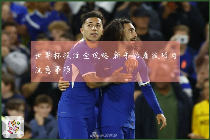 世界杯投注全攻略 新手必看技巧与注意事项