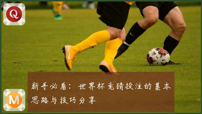 新手必看：世界杯竞猜投注的基本思路与技巧分享