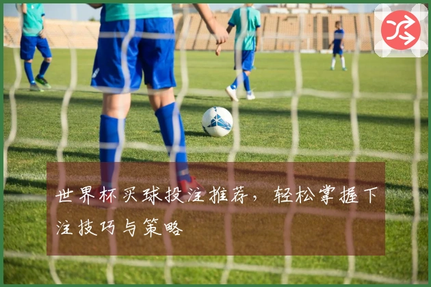 世界杯买球投注推荐，轻松掌握下注技巧与策略