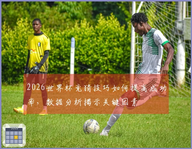 2026世界杯竞猜技巧如何提高成功率，数据分析揭示关键因素
