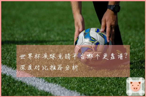 世界杯滚球竞猜平台哪个更靠谱？深度对比推荐分析