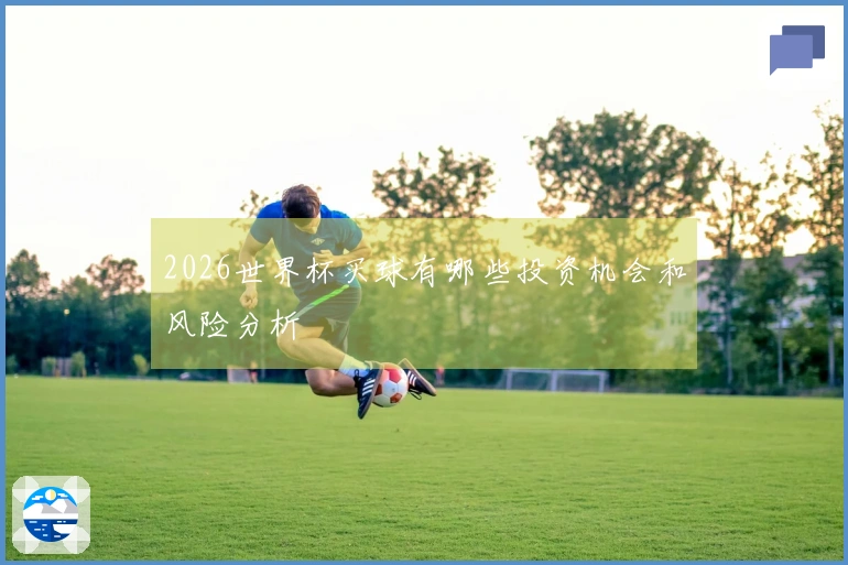 2026世界杯买球有哪些投资机会和风险分析