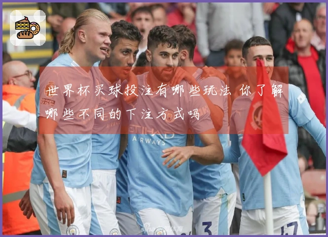 世界杯买球投注有哪些玩法 你了解哪些不同的下注方式吗