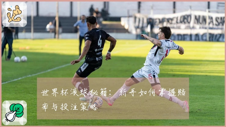 世界杯滚球秘籍：新手如何掌握赔率与投注策略
