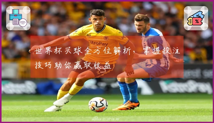 世界杯买球全方位解析，掌握投注技巧助你赢取收益