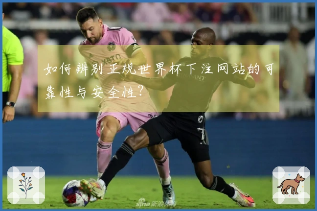 如何辨别正规世界杯下注网站的可靠性与安全性？