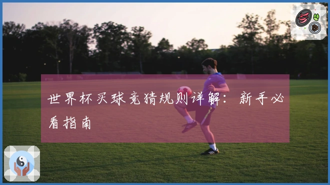 世界杯买球竞猜规则详解：新手必看指南