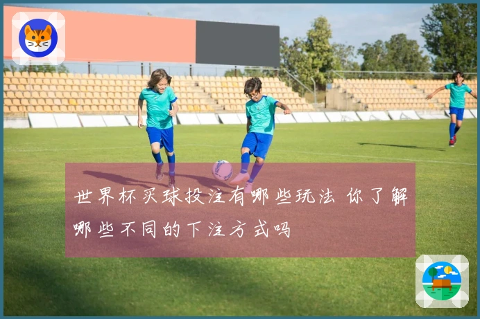 世界杯买球投注有哪些玩法 你了解哪些不同的下注方式吗