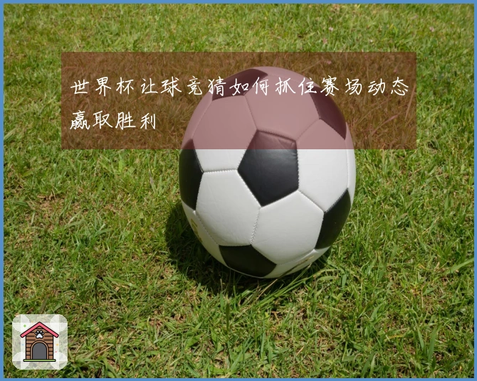世界杯让球竞猜如何抓住赛场动态赢取胜利