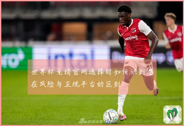 世界杯竞猜官网选择时如何识别潜在风险与正规平台的区别