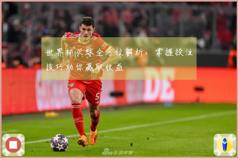 世界杯买球全方位解析，掌握投注技巧助你赢取收益