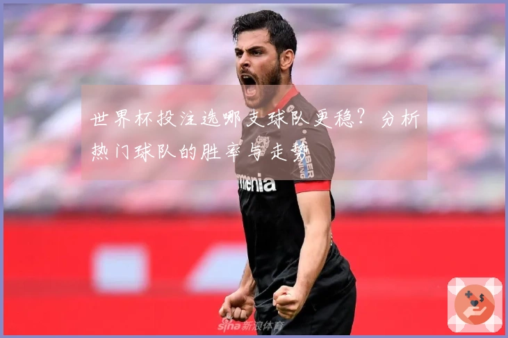 世界杯投注选哪支球队更稳？分析热门球队的胜率与走势