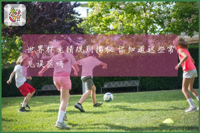 世界杯竞猜规则揭秘 你知道这些常见误区吗