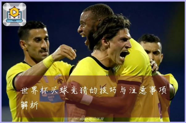 世界杯买球竞猜的技巧与注意事项解析