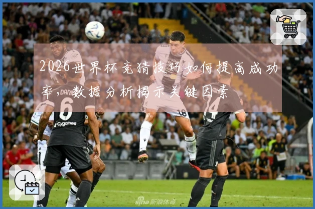 2026世界杯竞猜技巧如何提高成功率，数据分析揭示关键因素