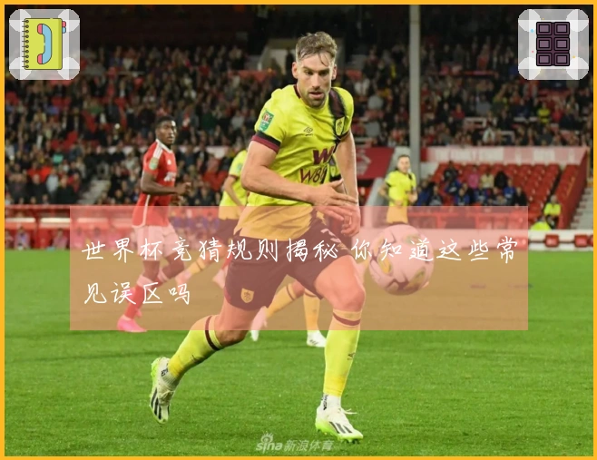 世界杯竞猜规则揭秘 你知道这些常见误区吗