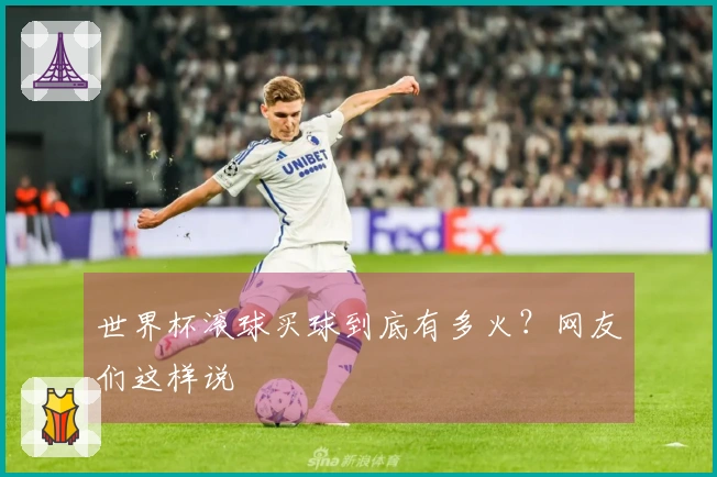 世界杯滚球买球到底有多火？网友们这样说