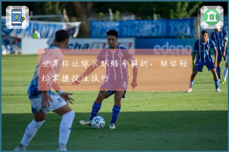 世界杯让球买球赔率解析，助你轻松掌握投注技巧